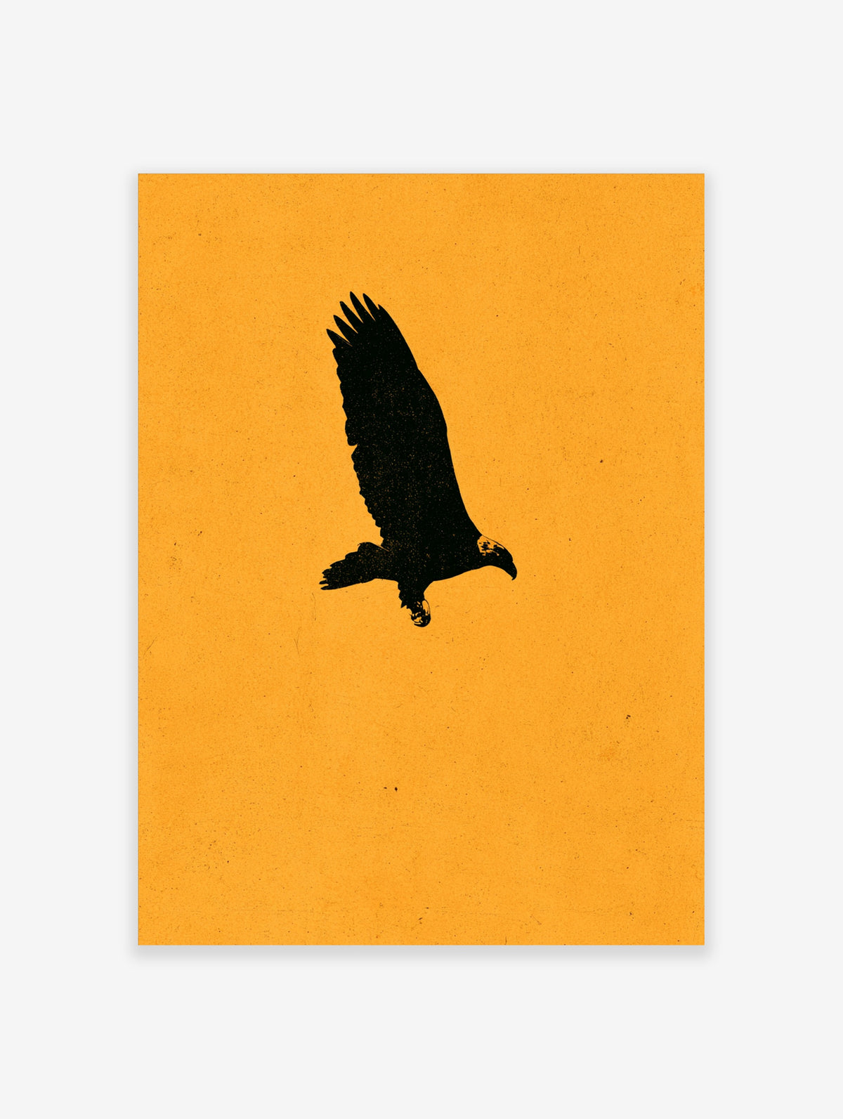 Black eagle silhouette in flight on a mustard yellow background, bird of prey paper print
