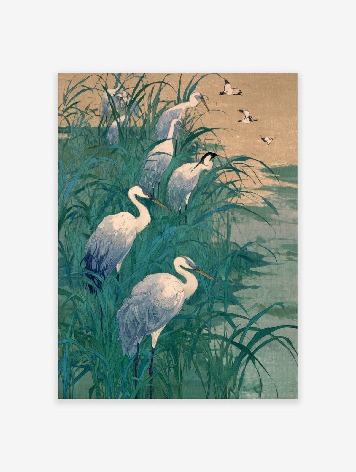 White egrets wading and flying in tall teal marsh grass with a muted sky and water background, Japanese art style