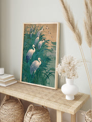 White egrets wading and flying in tall teal marsh grass with a muted sky and water, in an alternate framed mockup