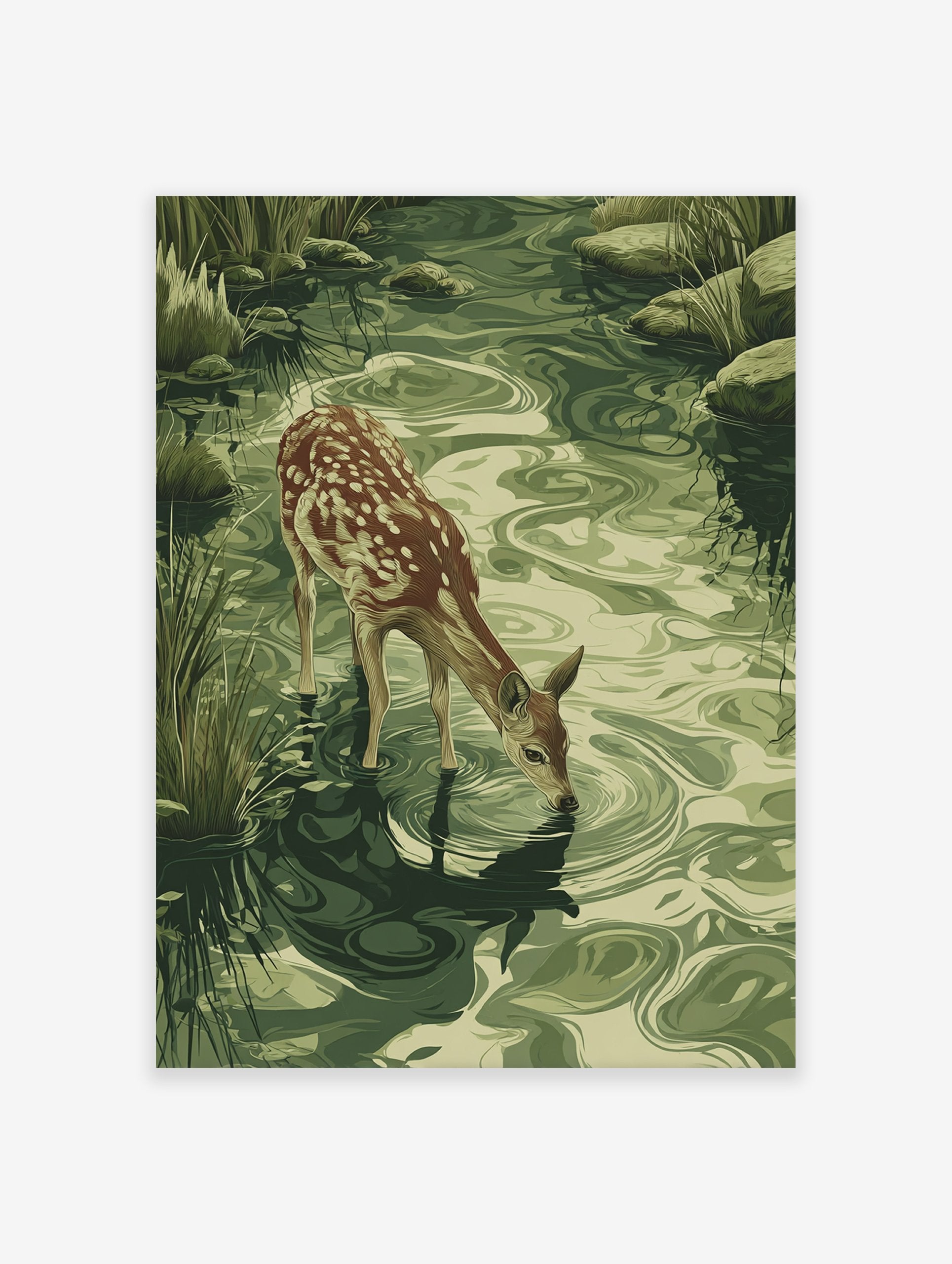 Fawn drinking poster, an illustration of a young deer at a green stream with ripples, surrounded by grass and rocks.