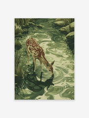 Fawn drinking poster, an illustration of a young deer at a green stream with ripples, surrounded by grass and rocks.