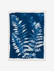 Detailed fern fronds in a blue and white cyanotype style botanical wall art print