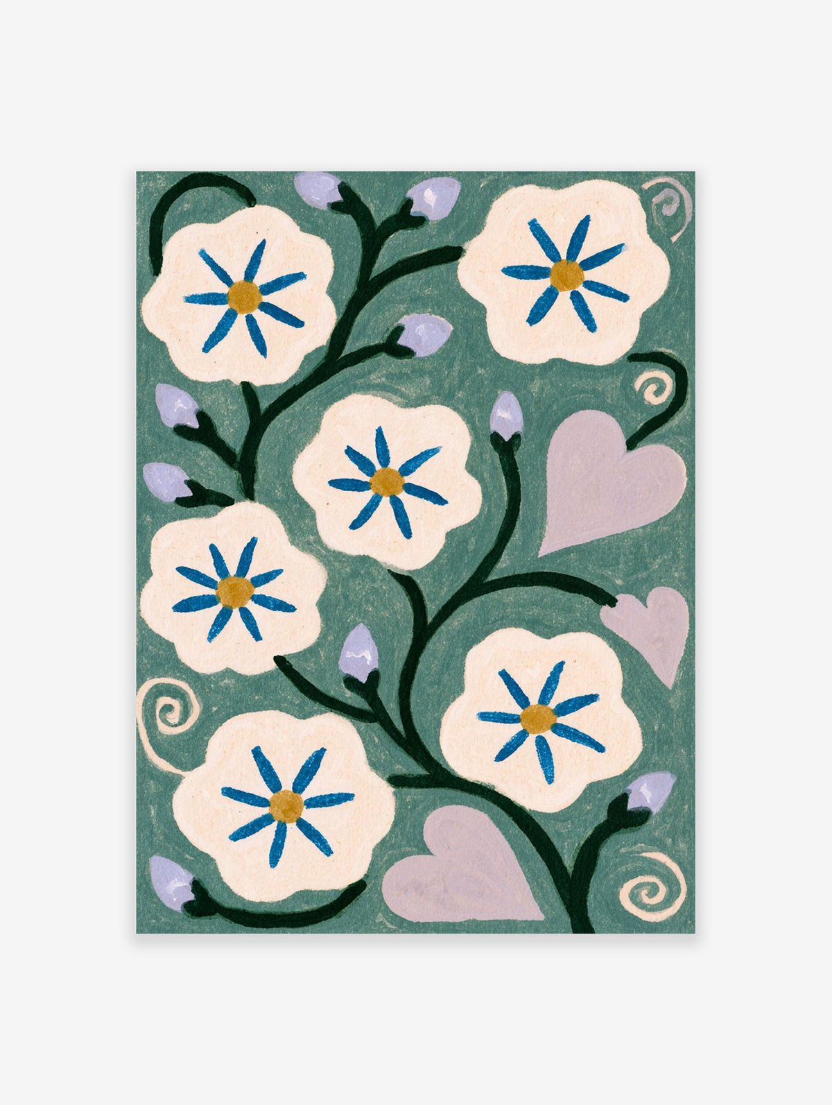Botanical illustration of white flowers with blue centres and purple heart-shaped leaves on a sage green background