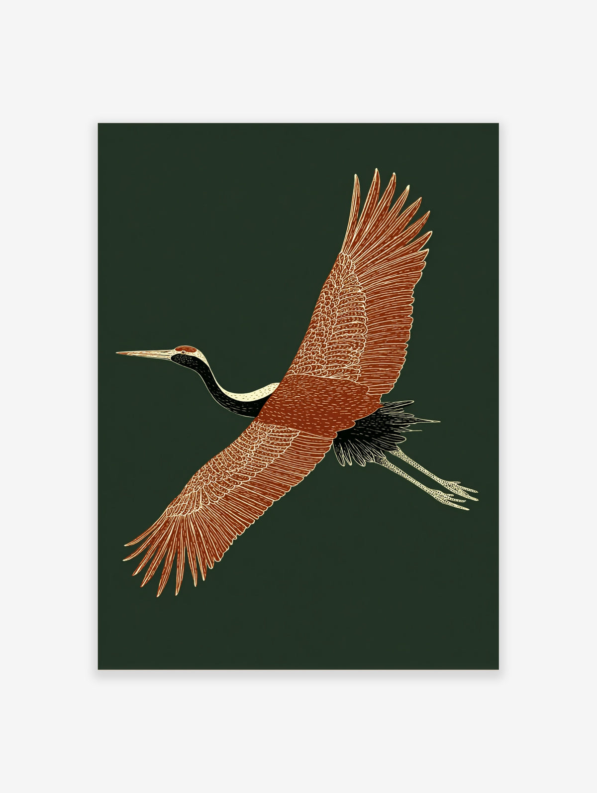 Flying crane art print with terracotta wings and black neck on dark green background