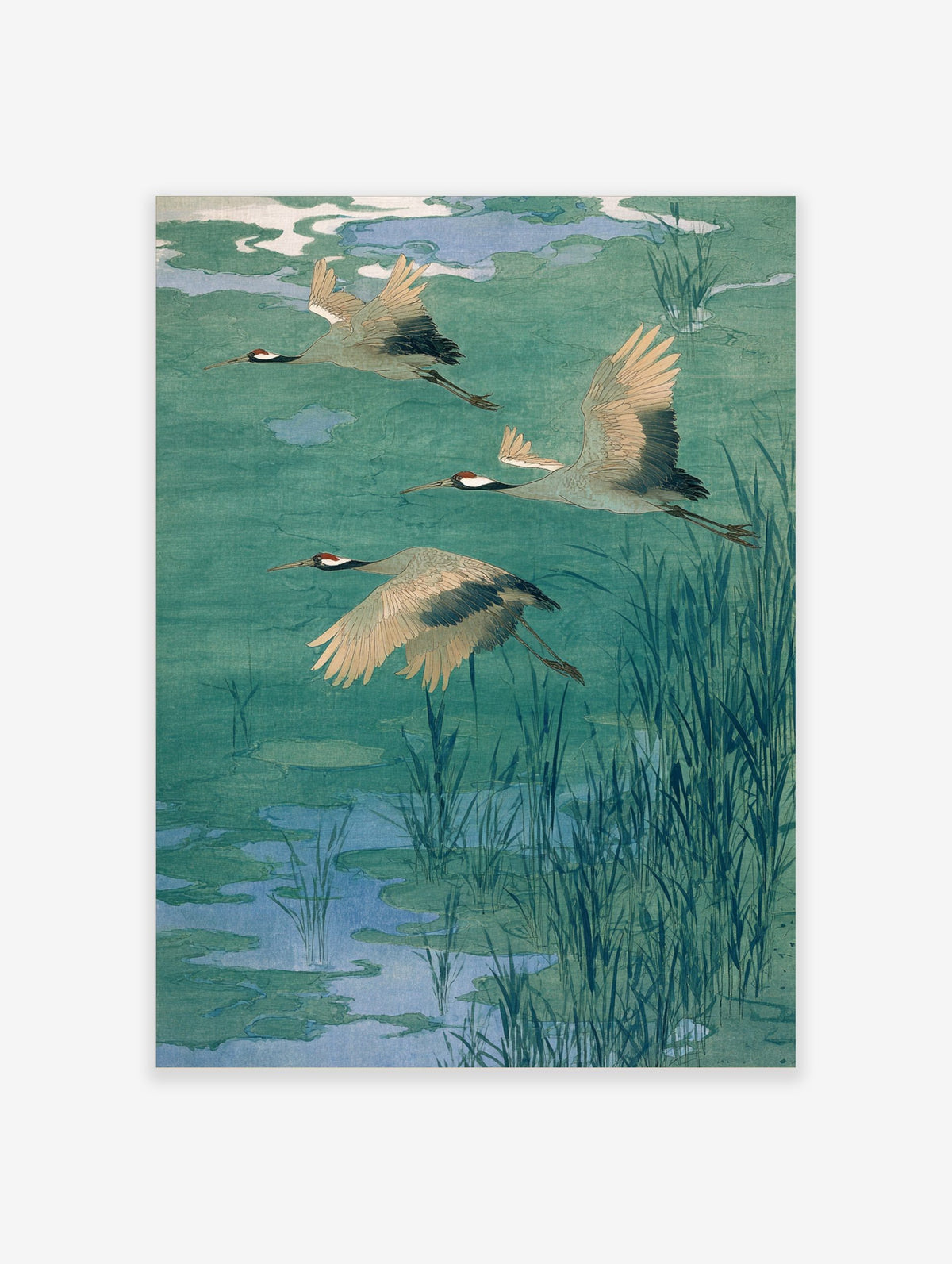 Three flying cranes with red heads and black wing tips over a teal and blue pond with reeds