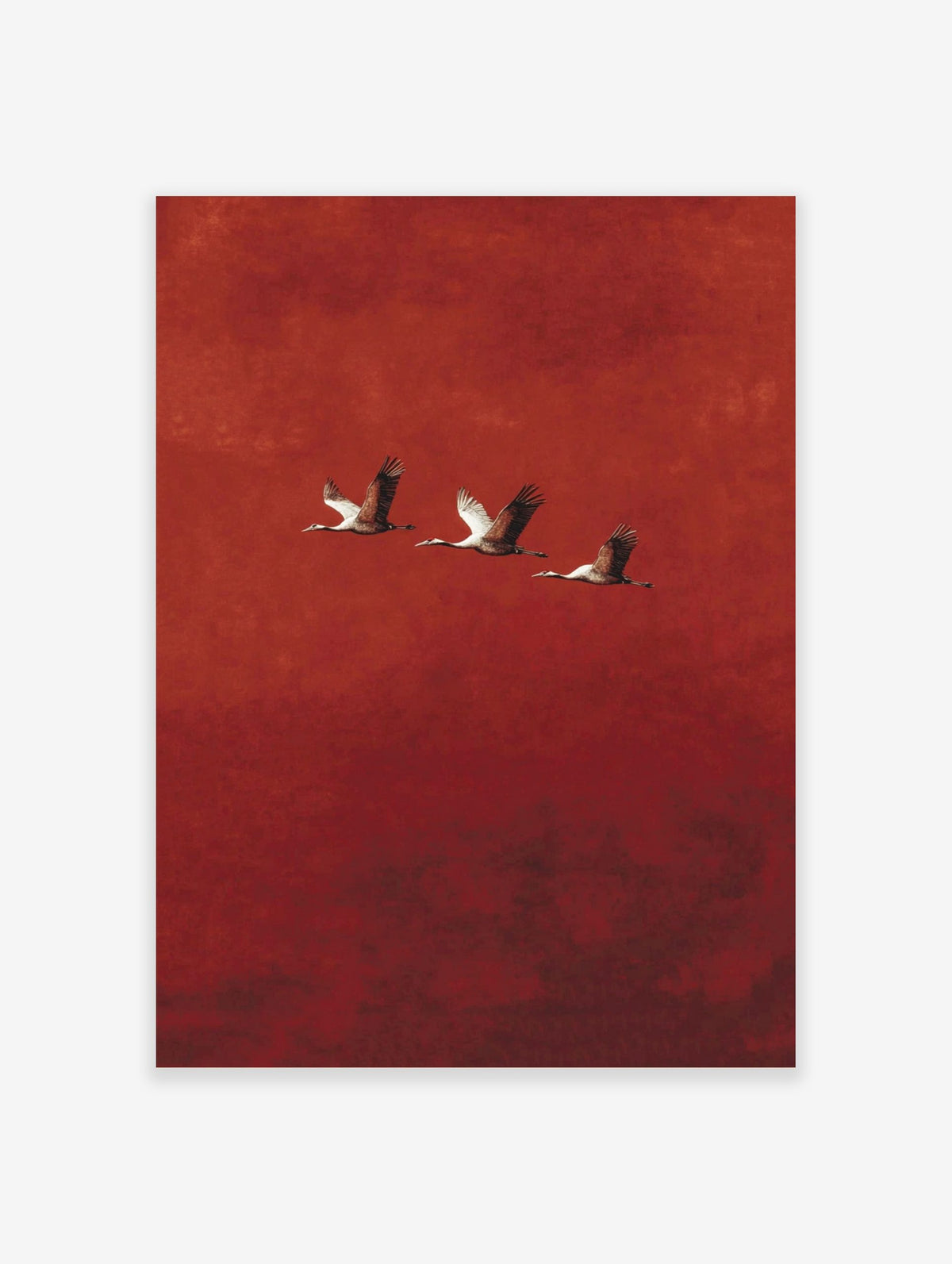 Three cranes with outstretched wings flying diagonally against a textured red background