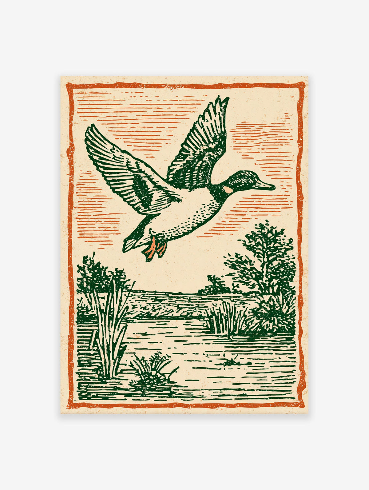 Vintage illustration of a flying duck with green feathers over a marsh and water, framed by an orange border.