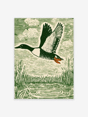 Green woodcut-style print of a flying duck with spread wings over water and reeds