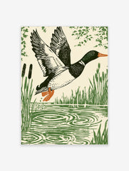 Linocut style print of a mallard duck in flight over water with reeds and foliage