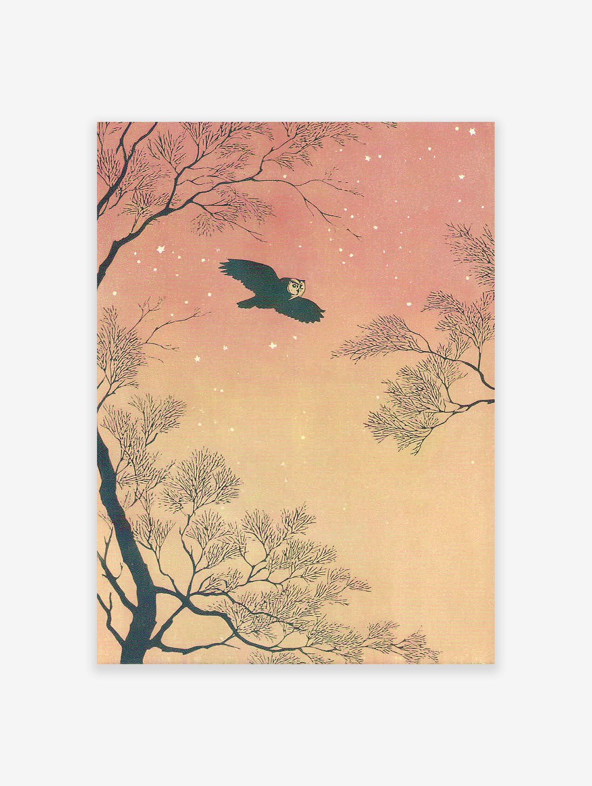 Illustrative flying owl wall art against a pink and orange starry night sky with dark, bare tree branches.