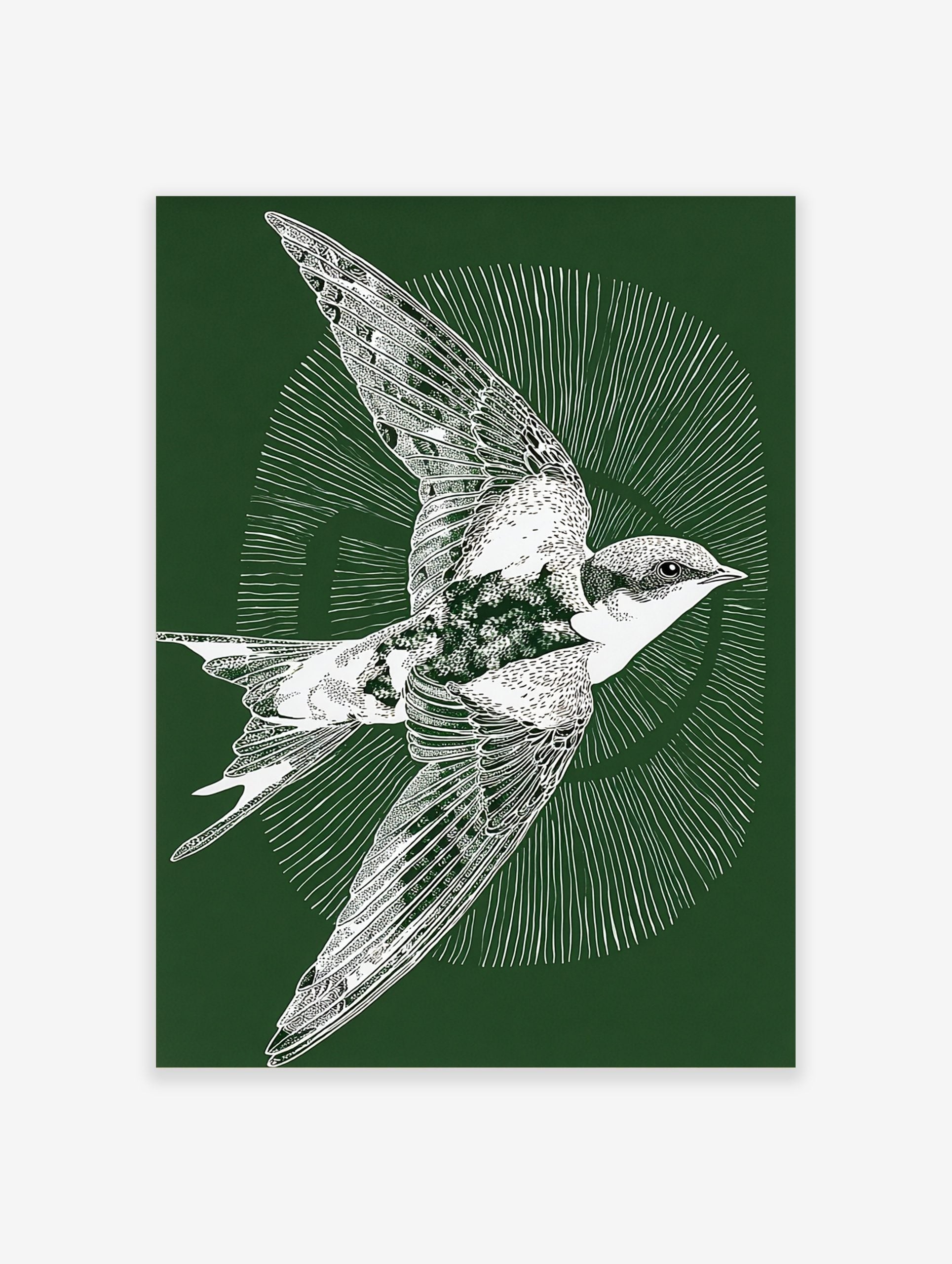 White illustrative swallow bird in flight on a dark green background with radiating lines