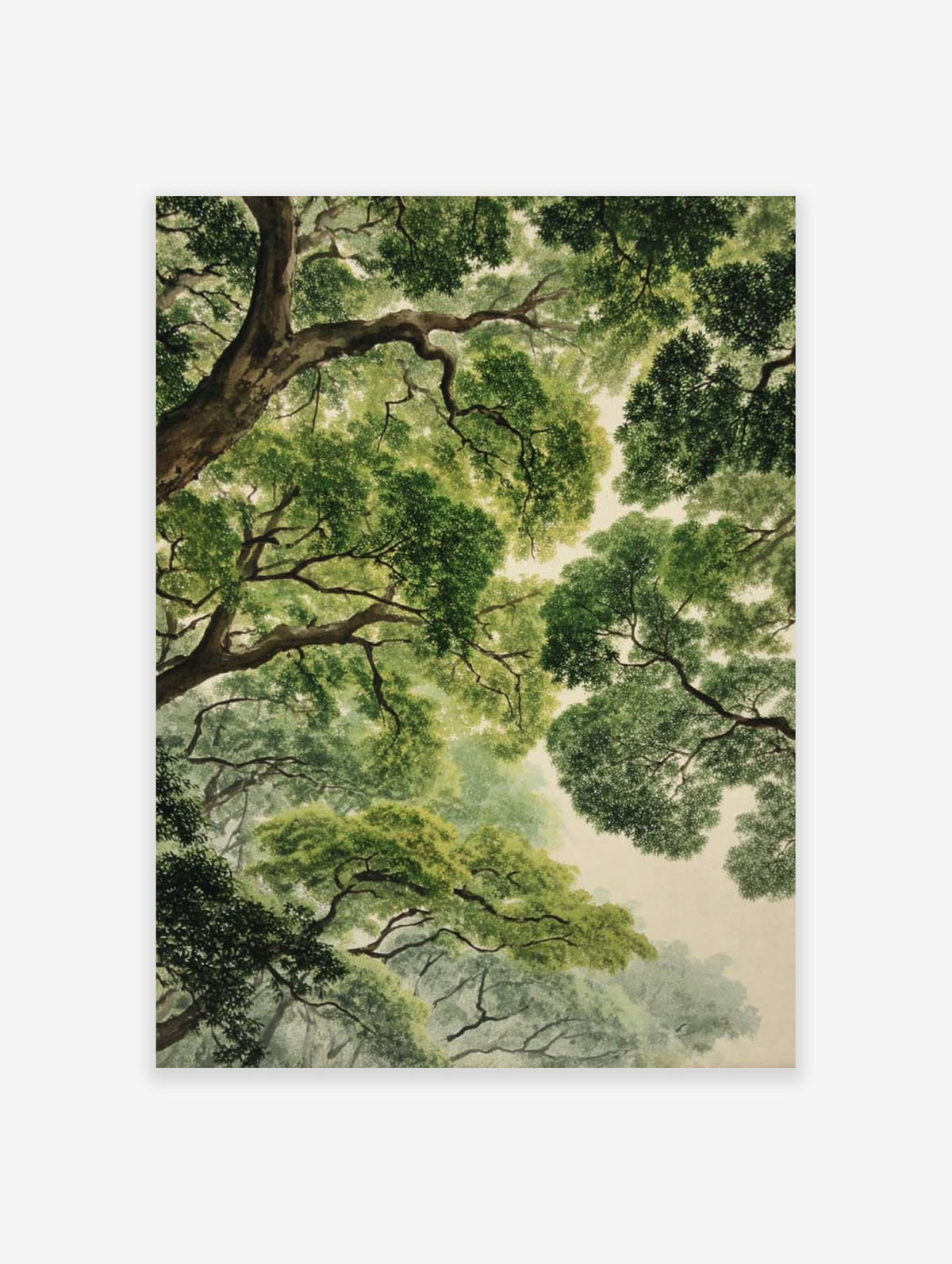 Detailed forest canopy poster showing lush green tree leaves and branches from a worm's-eye view against a light sky.