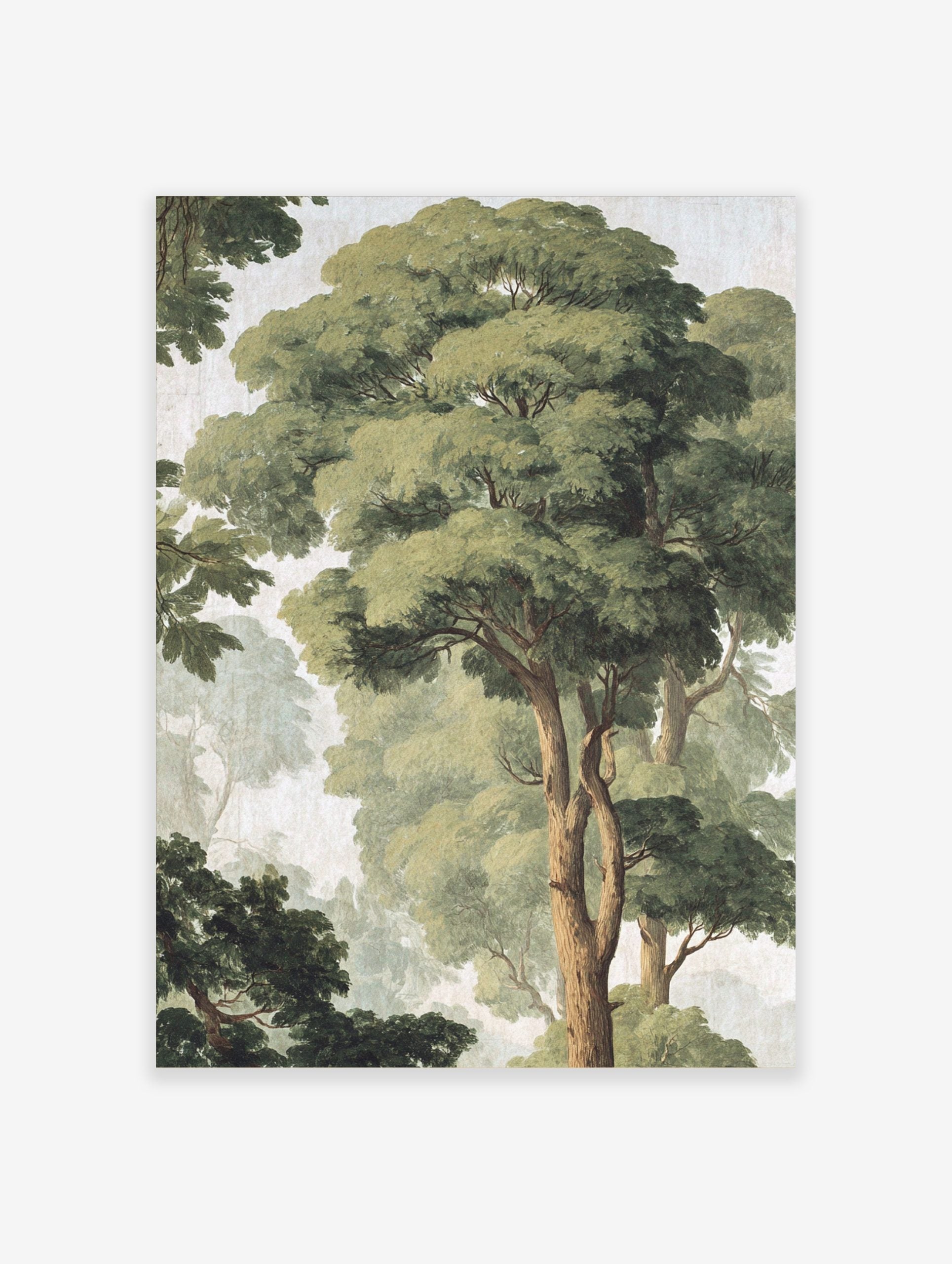 Watercolour forest canopy art print with tall green trees, visible brown trunks, and a misty, light background