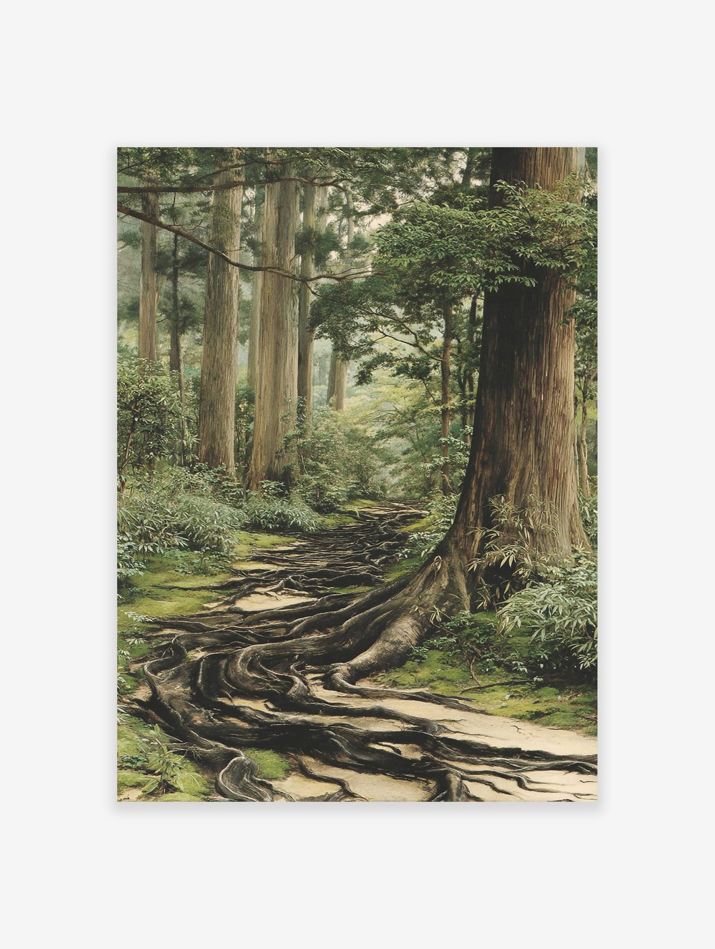 Forest path poster showing ancient tree roots covering a mossy ground, surrounded by tall trees and lush green foliage.