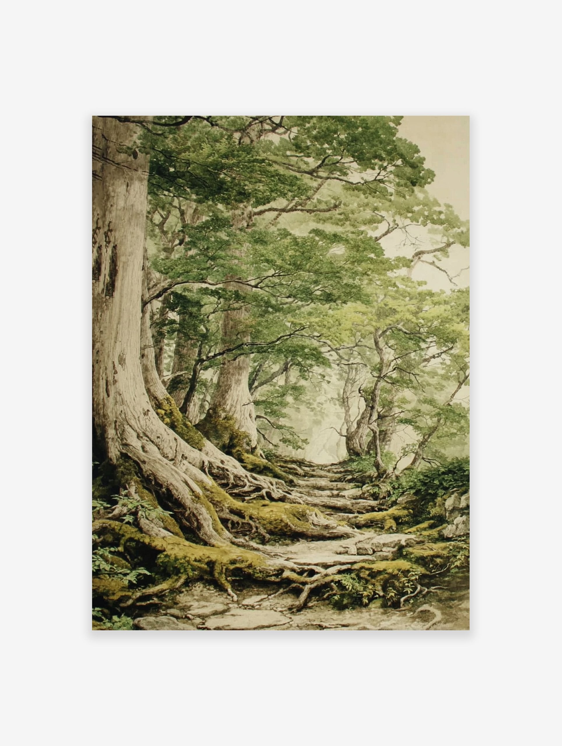 Forest Path Poster depicting a misty woodland scene with large trees, exposed mossy roots, and a winding stone path.