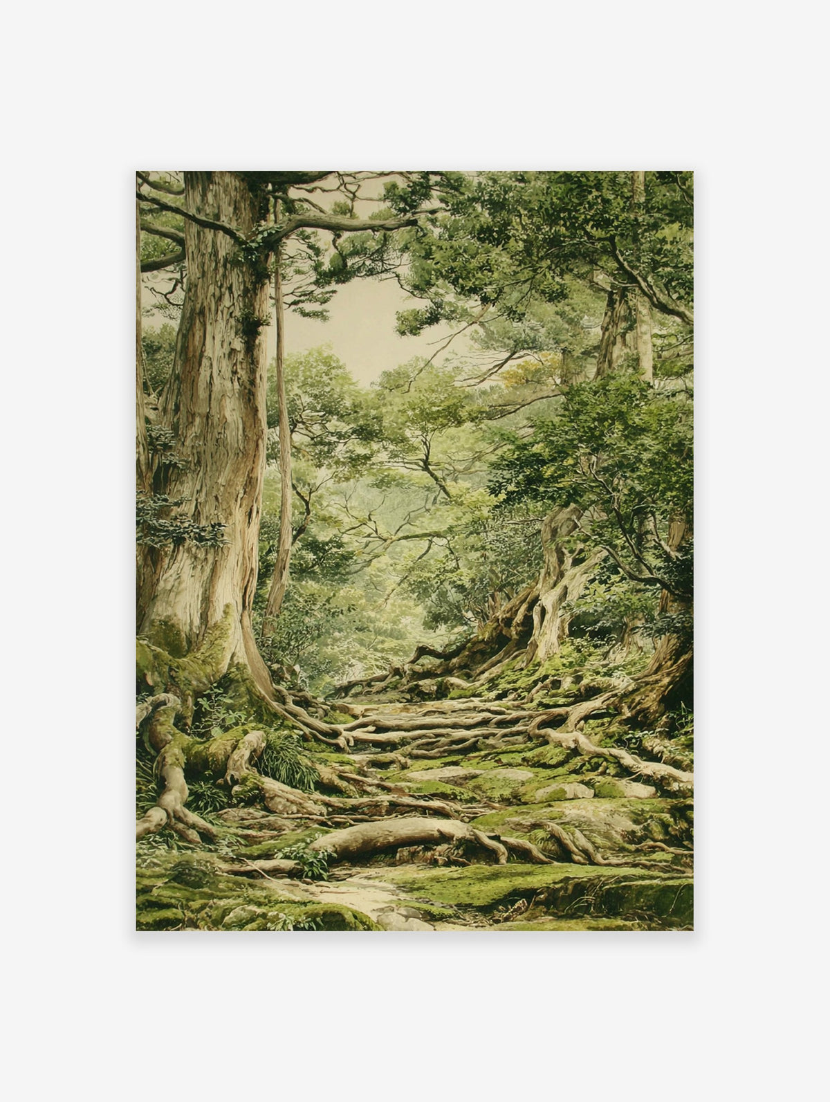 A detailed forest path poster with ancient trees, moss-covered roots, and lush green foliage creating a natural pathway.