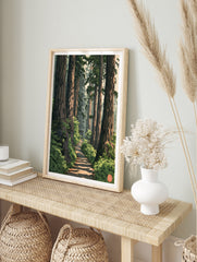 Forest path wall art with a distant torii gate, towering trees, and ferns in an illustrative, in an alternate framed mockup