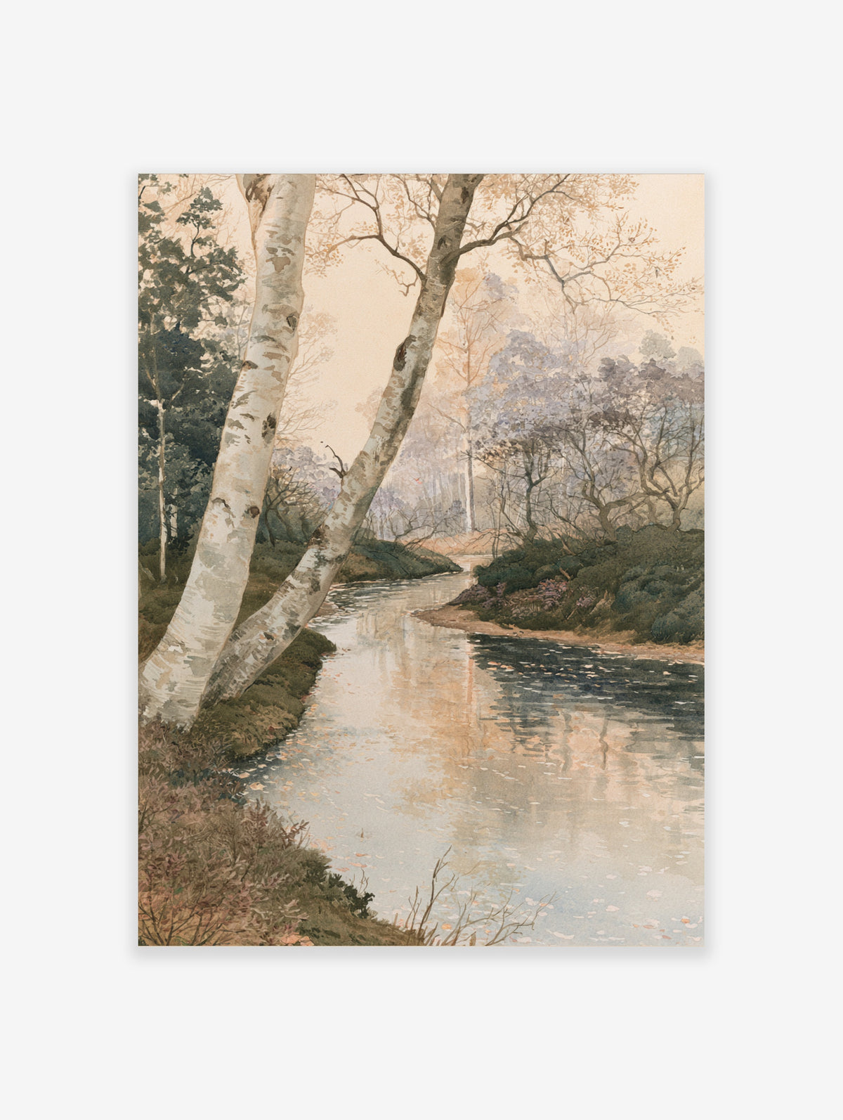 Watercolor style forest landscape painting with a winding stream and birch trees in the foreground