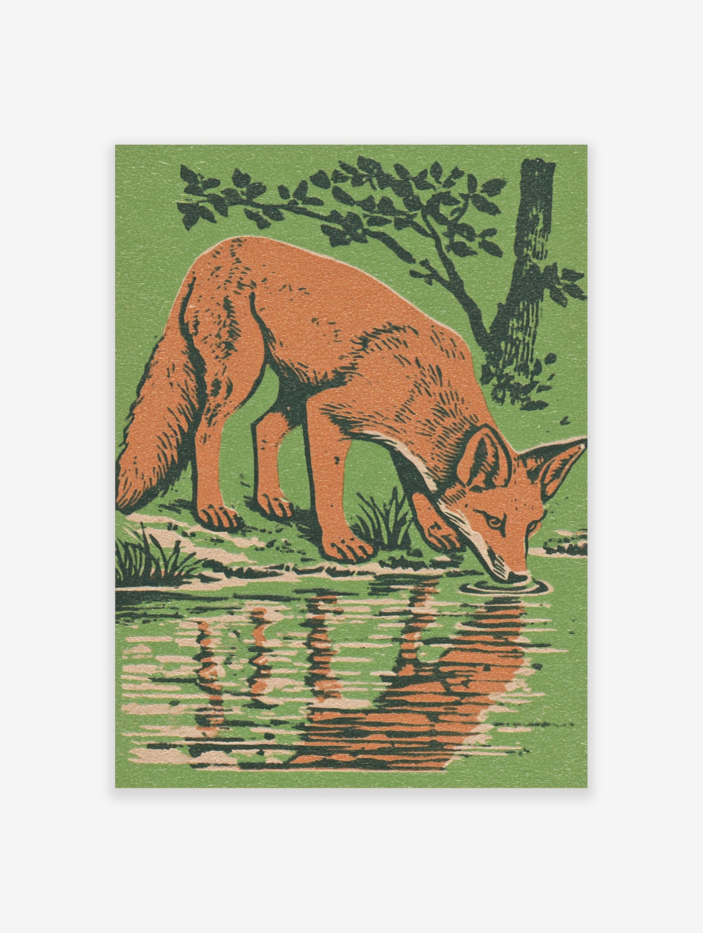 Fox drinking from stream illustration, orange fox with reflection, green background, vintage style
