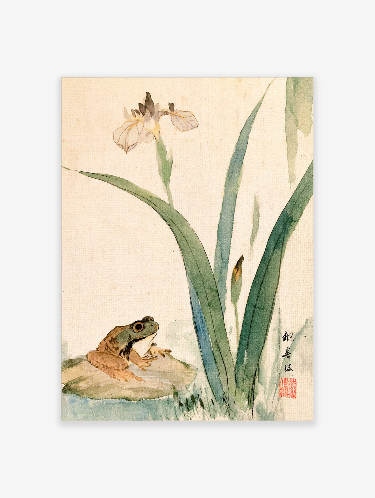 Frog on rock beside iris flower and green leaves watercolour art print
