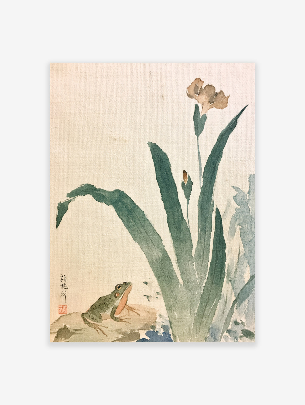 Green frog on rock beneath tall iris leaves and beige flower, Japanese style art print