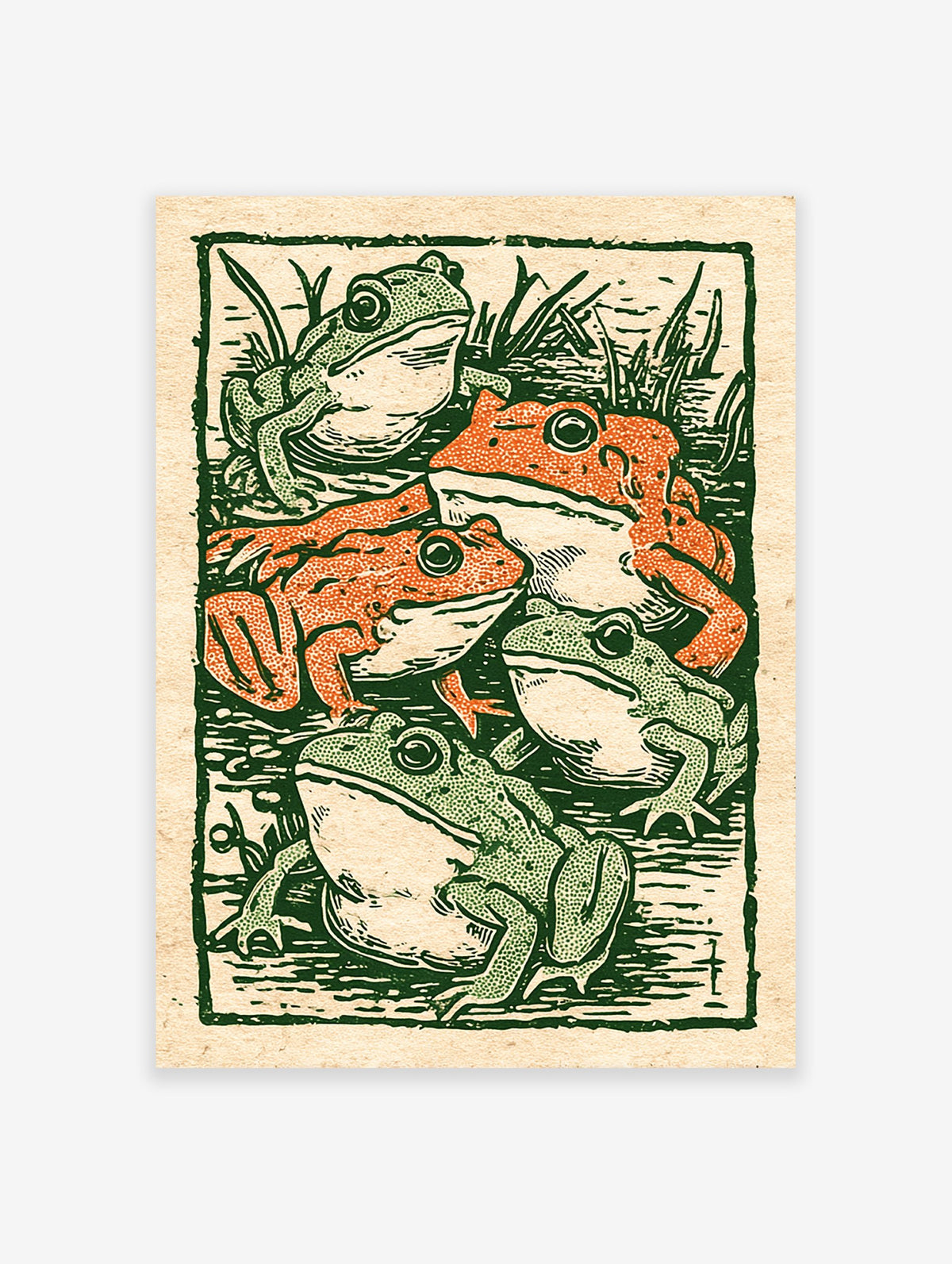 Vintage illustration print showing five green and orange frogs in a pond with reeds, in a woodcut style.