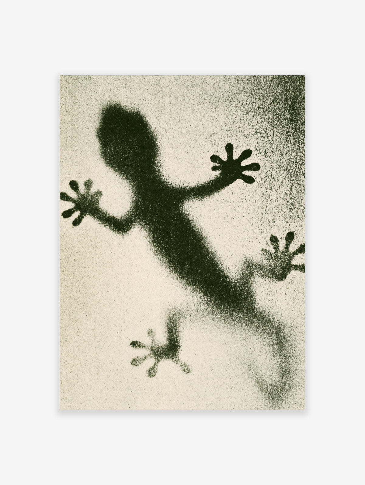 Green gecko silhouette art print with textured shadow effect on pale background