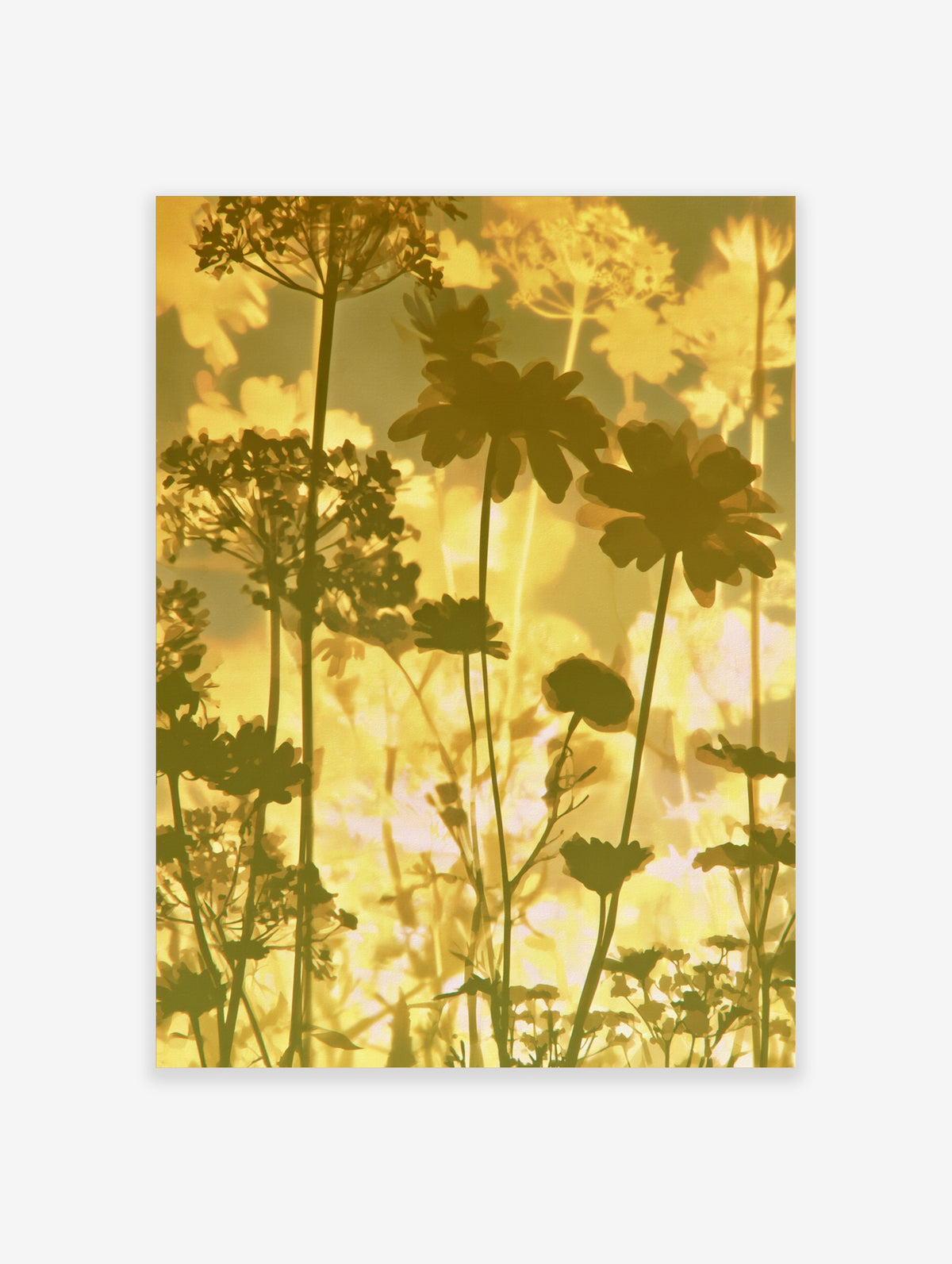 Golden floral silhouette art print with dark botanical stems and blooms on a warm yellow background