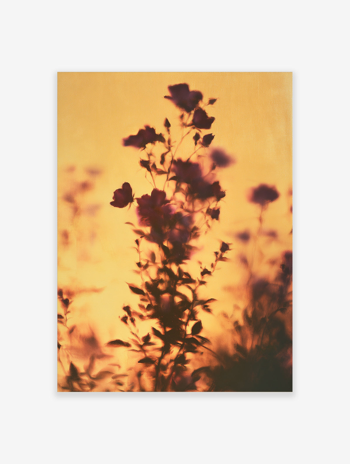 Golden hour flower silhouette with purple blooms and dark stems against a warm yellow sky