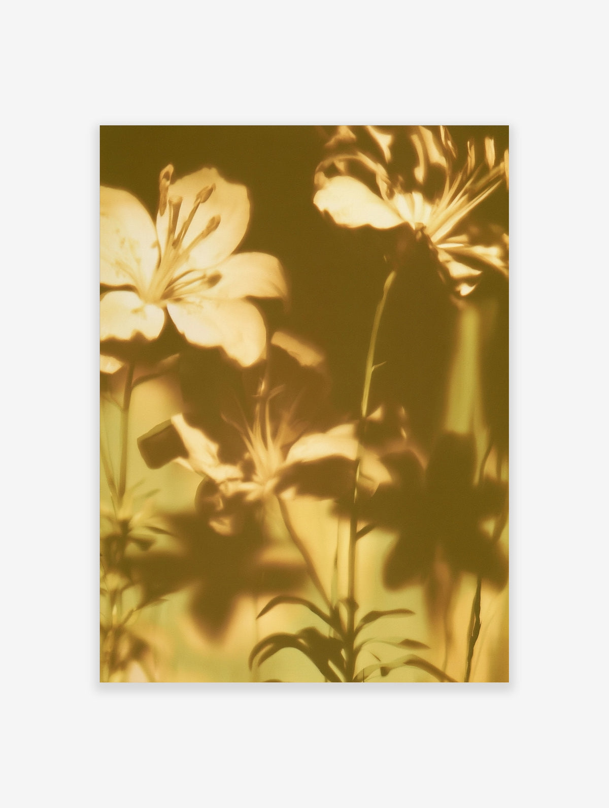 Golden lily flower poster with yellow petals and green stems on a blurred background