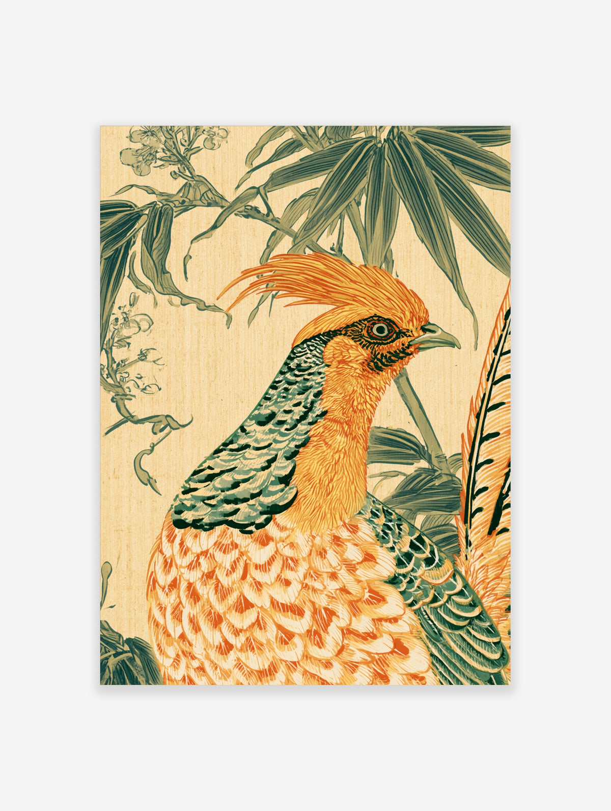 Golden pheasant bird art print with orange crest and bamboo leaves on beige background