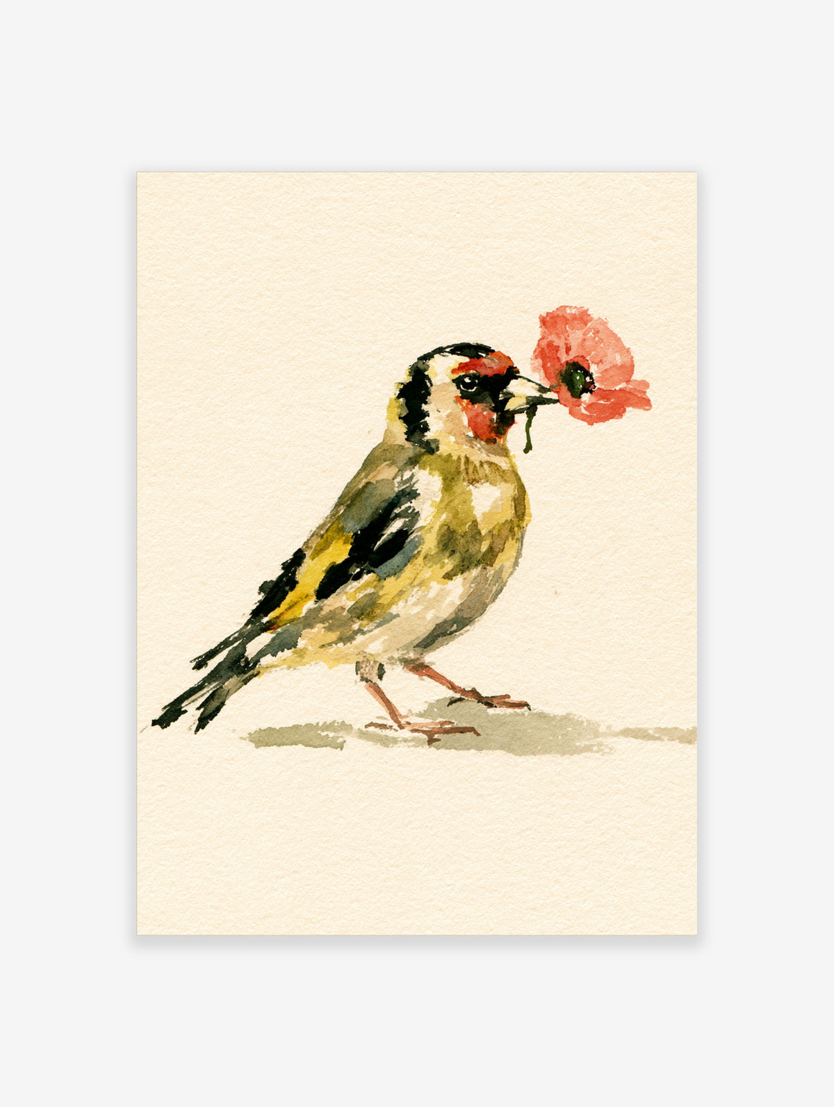 Watercolour goldfinch holding a red poppy in its beak on a plain cream background