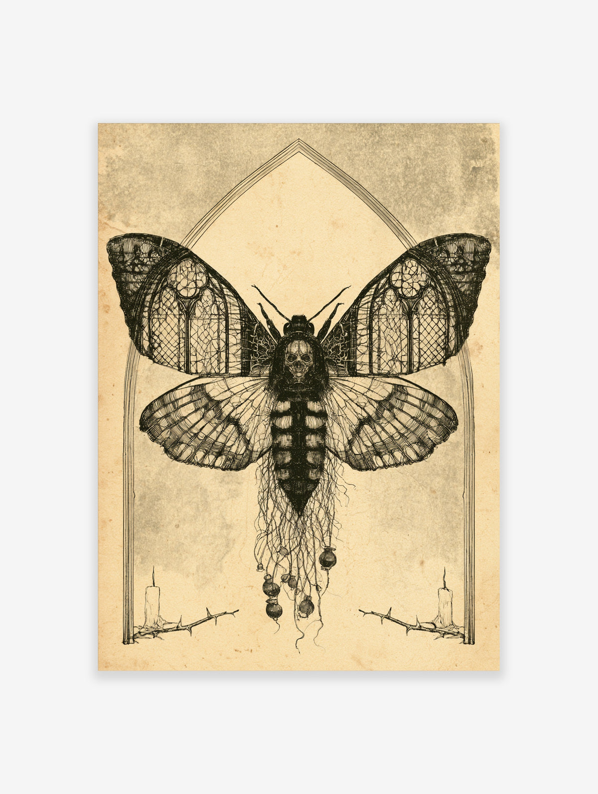 Gothic butterfly poster with skull thorax, stained glass wings, and hanging seed pods on beige background