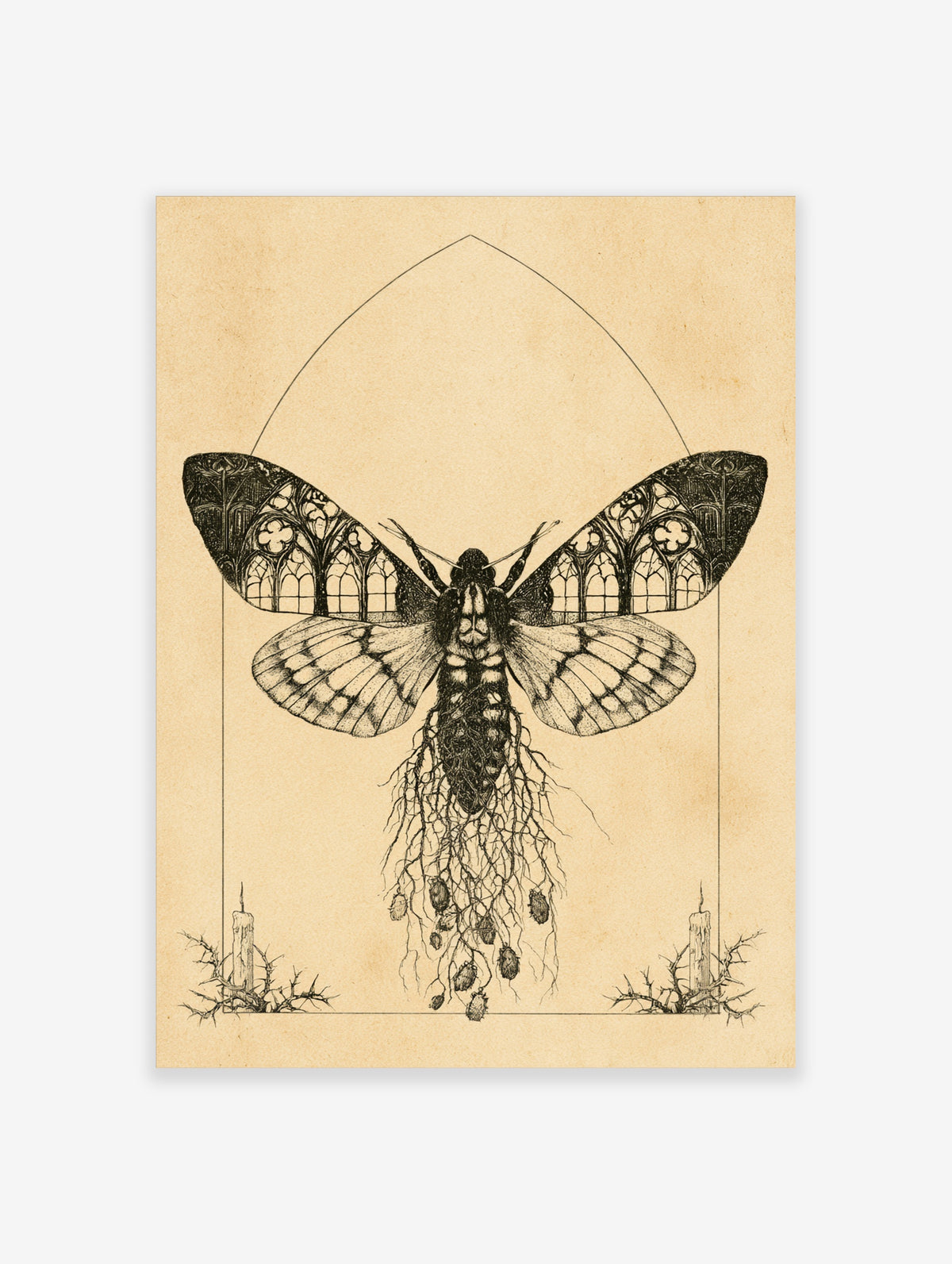 Gothic moth art print with stained glass wings, root body, candles and thorns on tan background