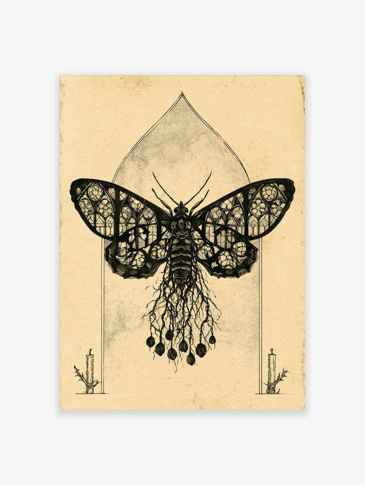 Gothic moth with stained glass window wings and root tendrils, black and white illustration art print