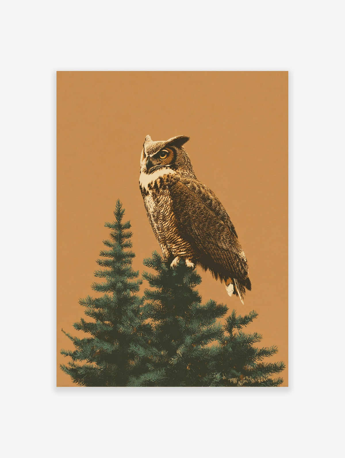 Illustrative great horned owl perched on a green evergreen tree branch against a warm tan background