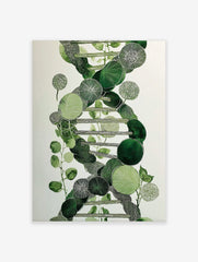 Green botanical DNA helix illustration with varied leaf shapes and textures on a white background