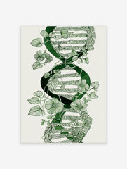 Green botanical DNA double helix illustration with winding vines and flowers on white background