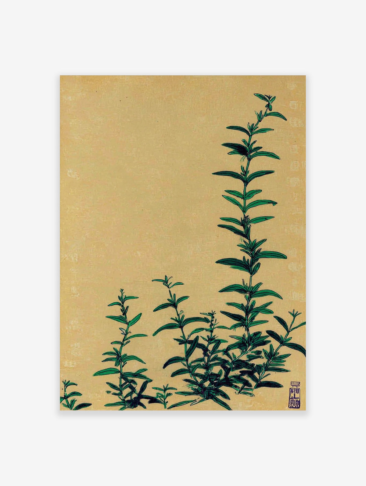Green botanical illustration of tall leafy stems on beige background, vertical composition