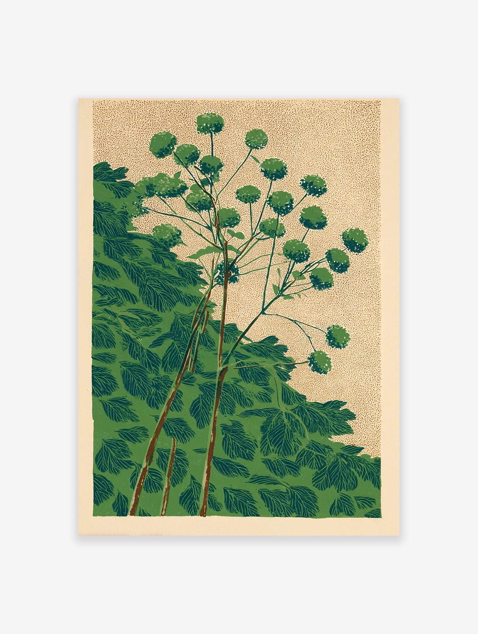 Stylized green botanical plant art print with round clustered foliage on a speckled beige background, modern illustration.
