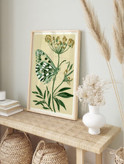 Botanical art print of a green and white butterfly resting on a dill plant against a cream, in an alternate framed mockup