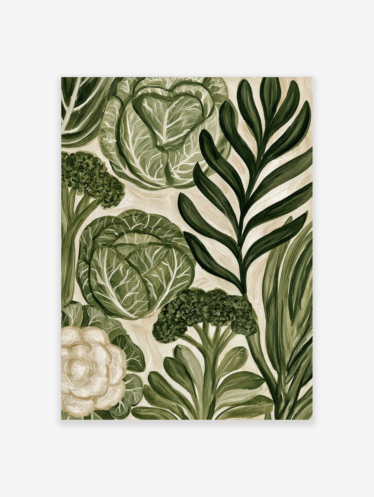 Green cabbage and leafy botanical illustration art print on cream background
