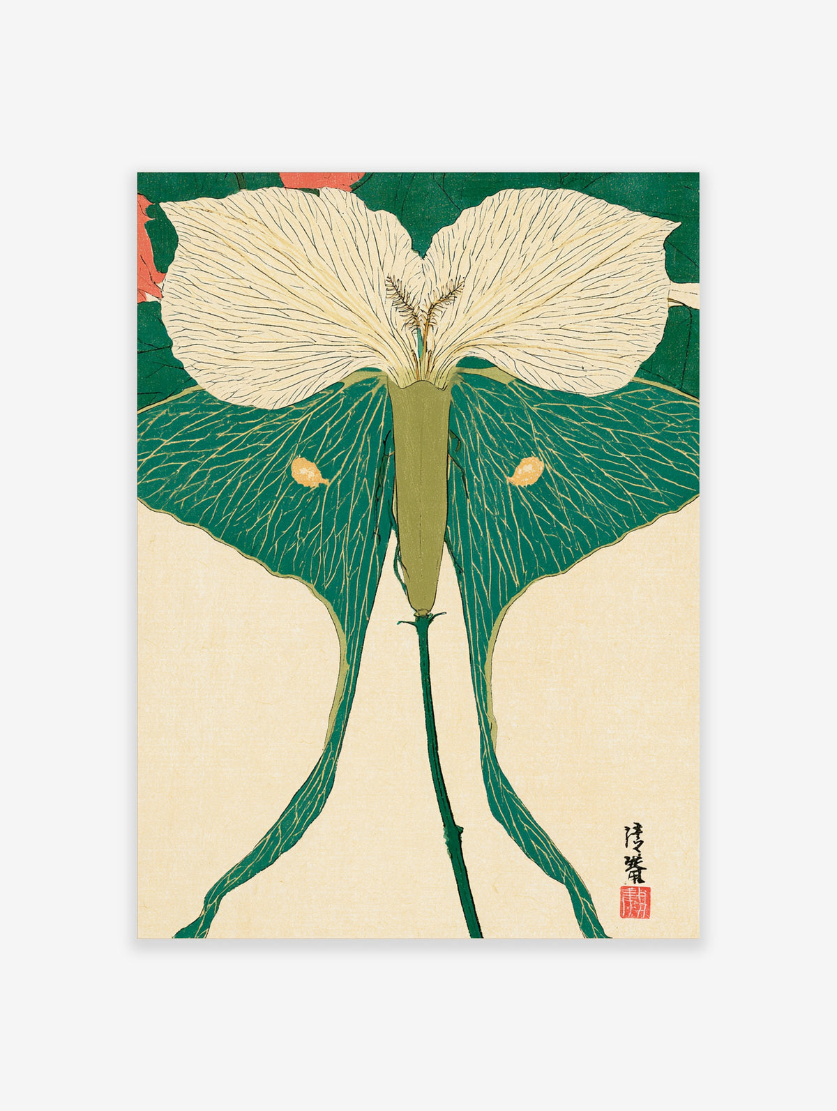 Green calla lily botanical art print with cream flower and teal leaves on beige background