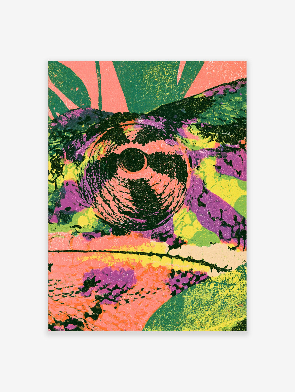 Green chameleon psychedelic art print with swirling eye and pink sunburst background