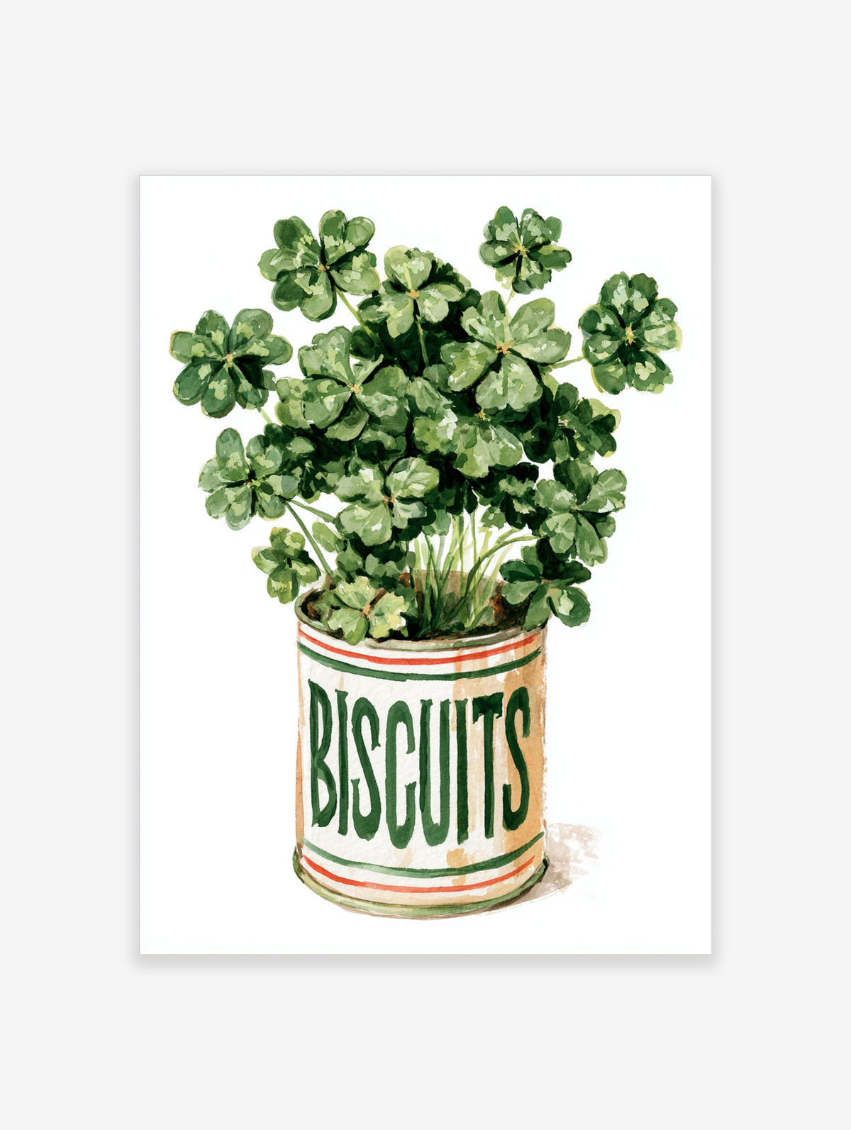 Watercolour green clover plant in a vintage Biscuits tin, botanical poster illustration