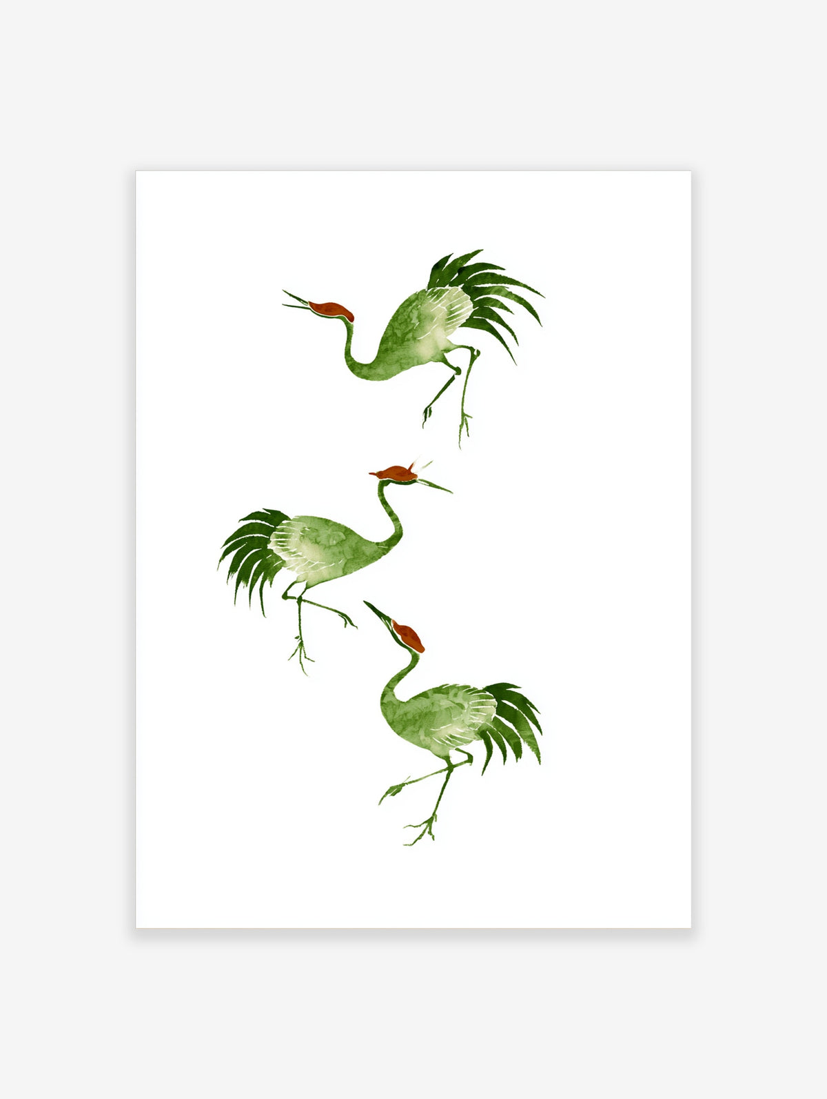 Three watercolour style green cranes with reddish crowns in a vertical arrangement on a white background