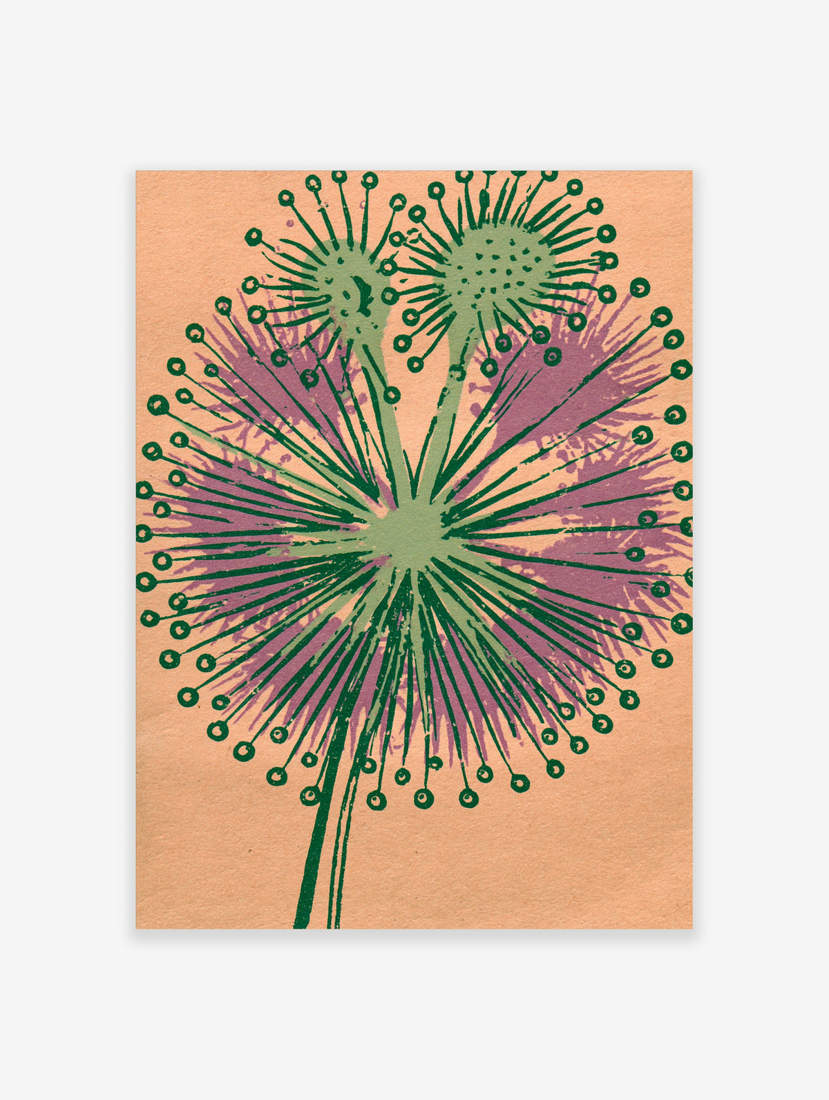 Green dandelion seed head art print with radiating stems and circular tips on peach background