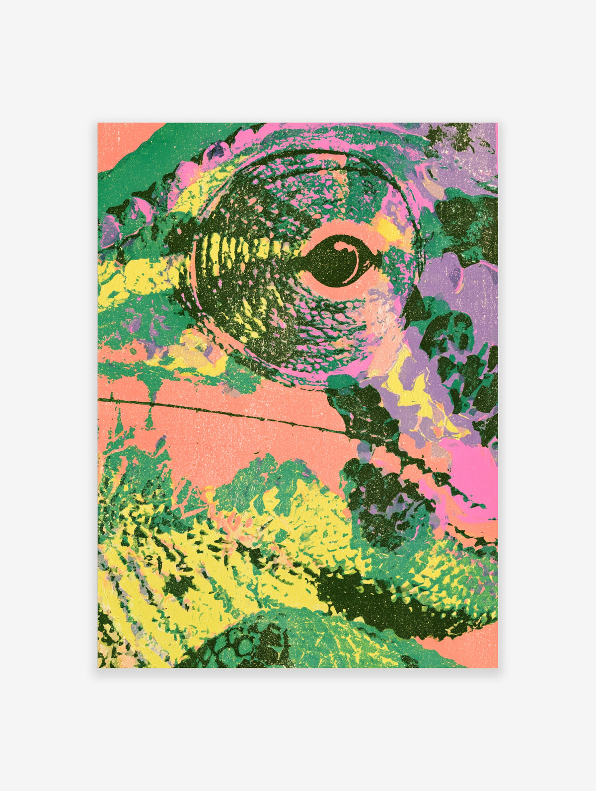 Green and pink psychedelic eye art print with grainy texture and dark pupil