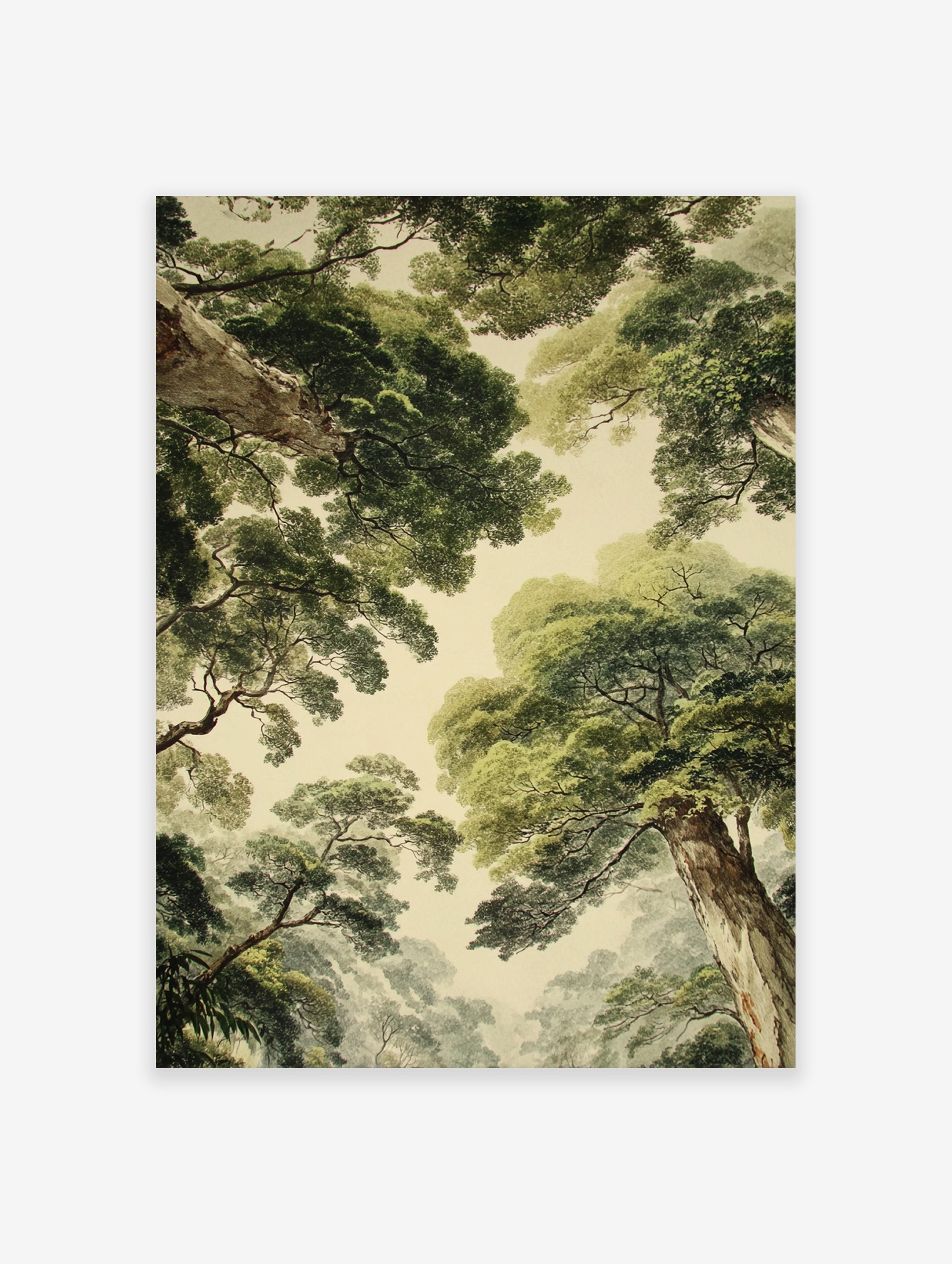 Green forest canopy poster, a vintage illustration looking up at tall trees with lush green leaves against a light sky.