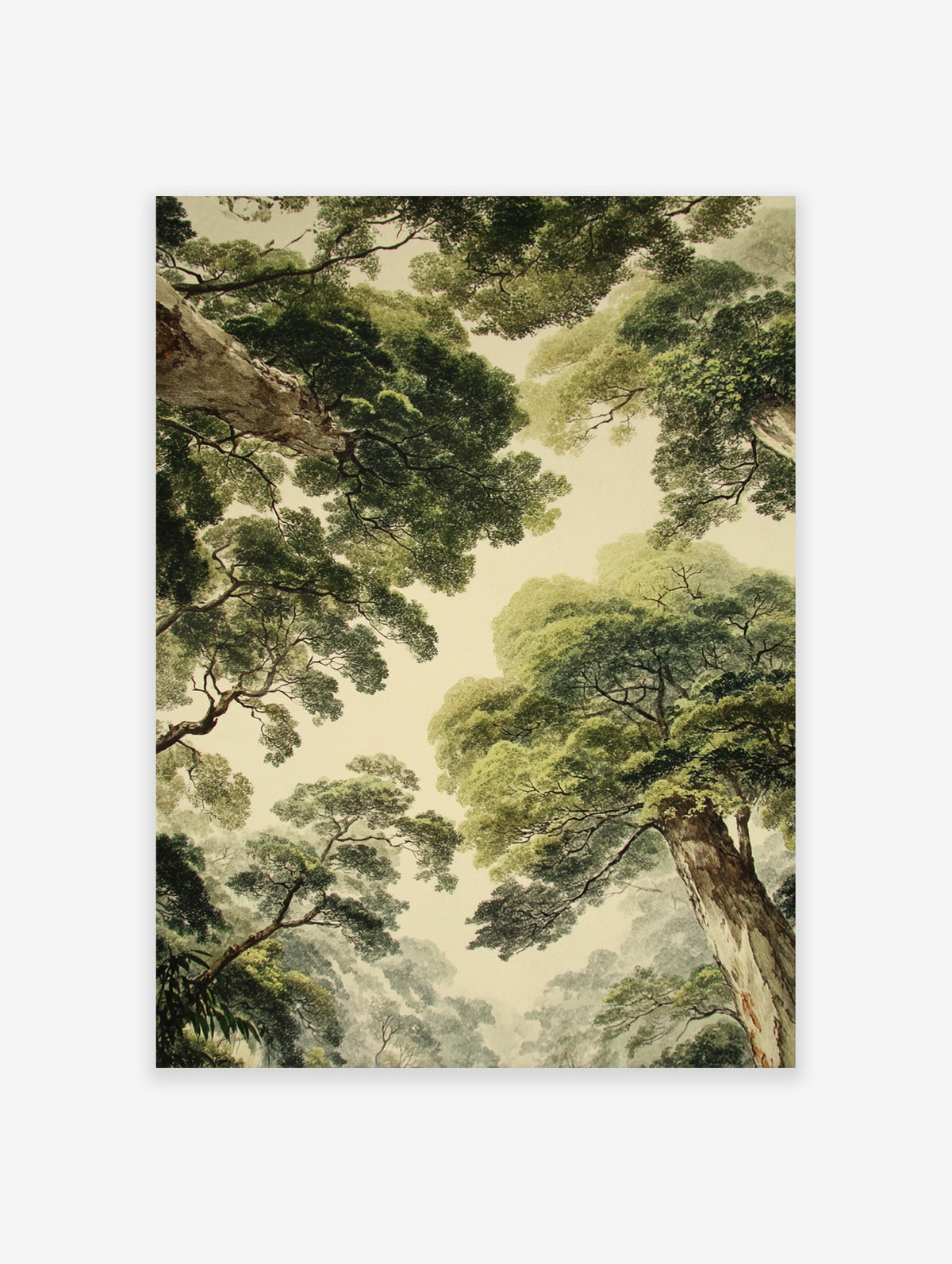 Green forest canopy poster, a vintage illustration looking up at tall trees with lush green leaves against a light sky.